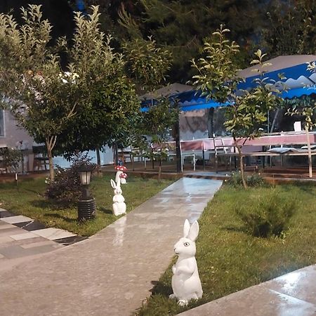Vila Hyseni دراس المظهر الخارجي الصورة
