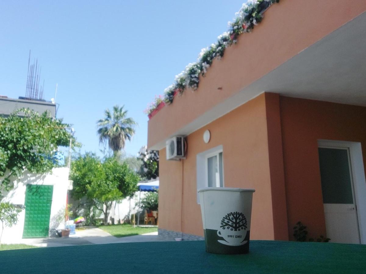 Vila Hyseni دراس المظهر الخارجي الصورة